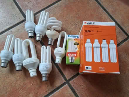 Photo of free Light bulbs (Northcourt OX14) #1