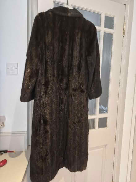 Photo of free Vintage mink coat (South Kensington W8) #2