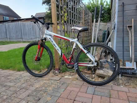 Photo of free Mountain Bike (Burgess Hill RH15) #1