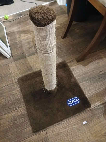 Photo of free Cat scratching post (Heeley, S2) #1