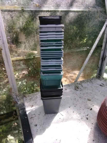 Photo of free Small square plastic plant pots (Fareham PO15) #1