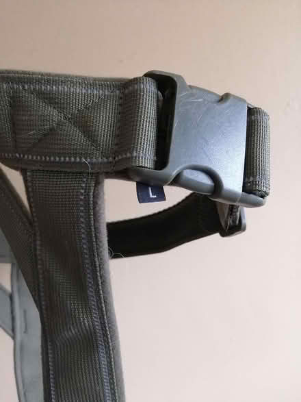 Photo of free Dog Harness (Old Ottawa East) #2