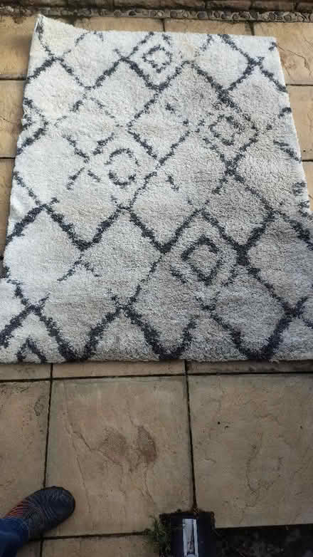 Photo of free Shaggy carpet, 160x120cm (Warmfield WF6) #1
