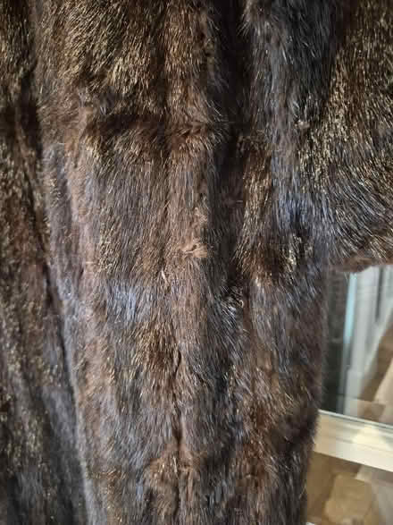 Photo of free Vintage mink coat (South Kensington W8) #4