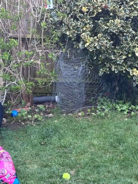 Photo of free Chicken wire (MK3 west Bletchley) #2