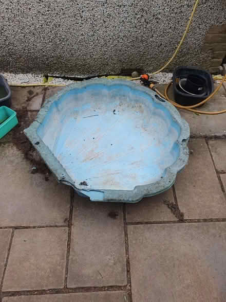 Photo of free 2 shells (Welling DA16) #1