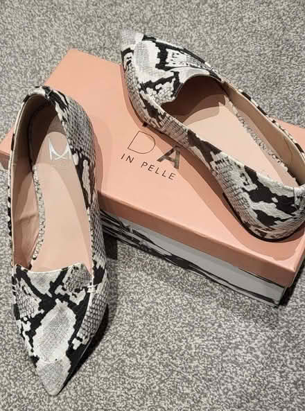 Photo of free Moda in Pelle Snakeskin Pointed Flats Size 5 (Great Billing NN3) #1