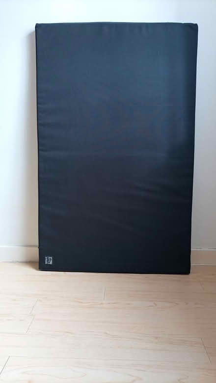 Photo of free Dog Mattress (Cardiff City Centre, CF10) #3