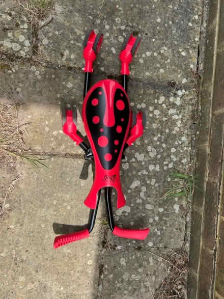 Photo of free Scramble bug (RH12) #2