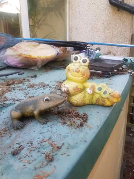 Photo of free Frog and caterpillar garden ornaments (Orpington BR5) #1