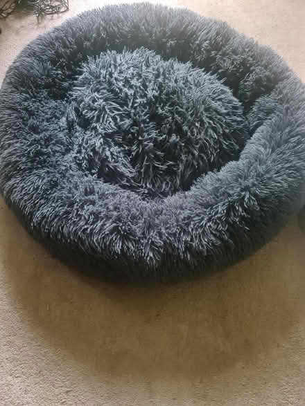 Photo of free Calming dog bed (Selsdon) #1