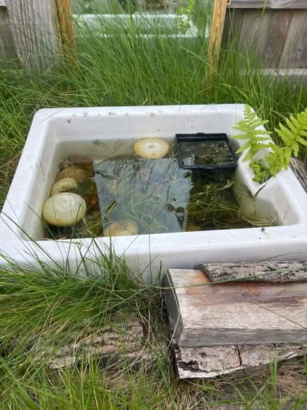 Photo of free Small Ceramic Sink (Newcourt EX2) #2