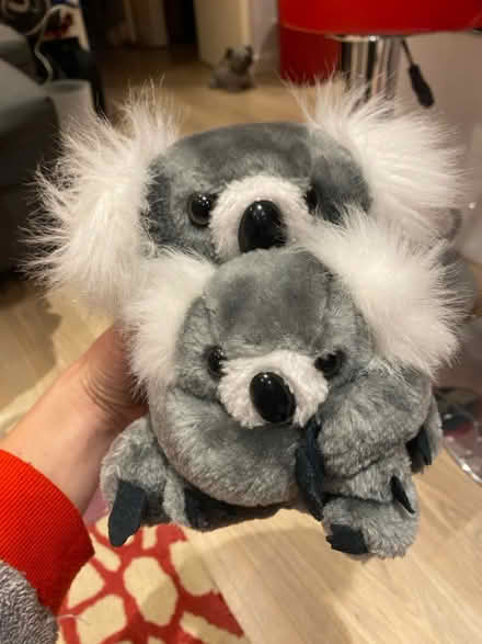 Photo of free Koala toy (Badger Farm) #1