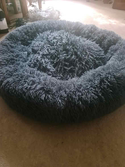Photo of free Calming dog bed (Selsdon) #2