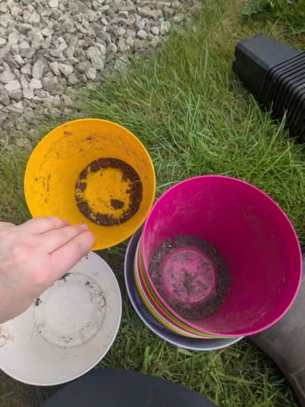 Photo of free Brightly coloured plastic plant pots (Haslucks Green B90) #2