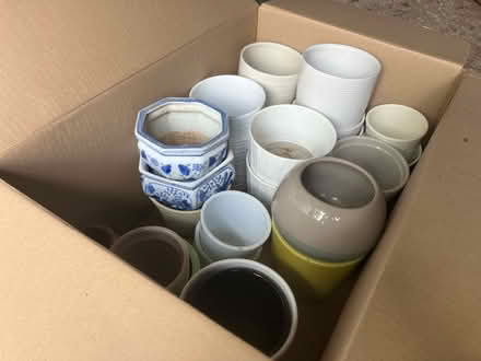 Photo of free Pots (Barnet, EN5) #1