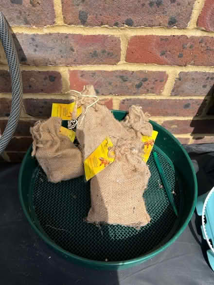 Photo of free 4 bags of bee bombs (RH12) #1