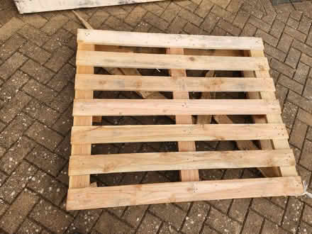 Photo of free Pallet (Northop Hall CH7) #1