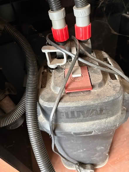 Photo of free Fluval filter (Rubery B45) #2