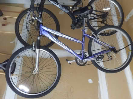 Photo of free Ladies 26" Mountain bike (Macomb Twp.) #1