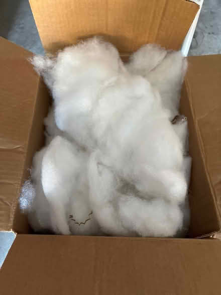 Photo of free Box of clean pillow stuffing (Encantado) #2