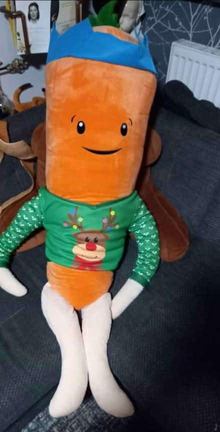 Photo of free Kevin the carrot (Shepshed LE12) #1