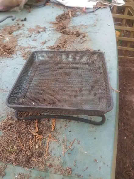 Photo of free Bird feeder tray (Orpington BR5) #1