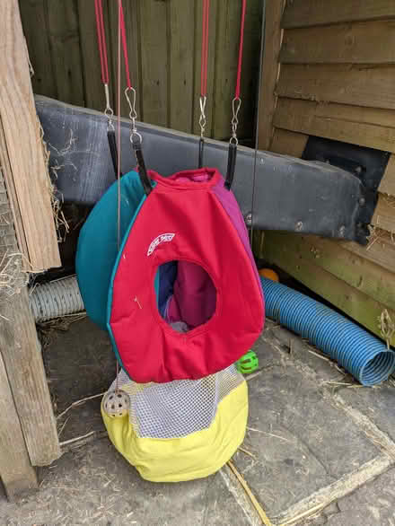 Photo of free Hanging pet play/cosy thing! (Bachelor's Bump TN35) #1