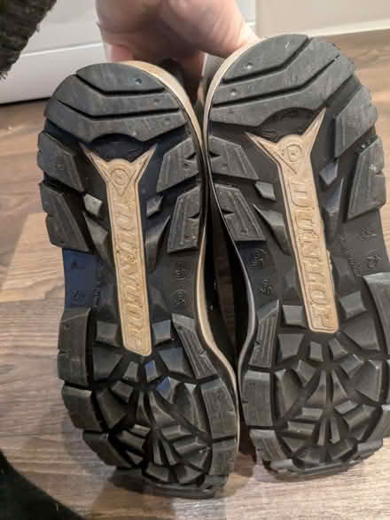Photo of free Wellies - size 8 (Haslucks Green B90) #2