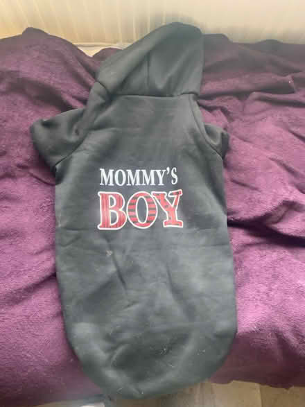 Photo of free Medium sized dog coat (HP2) #1