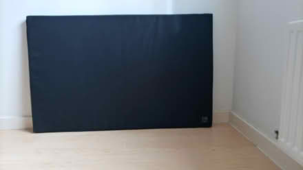 Photo of free Dog Mattress (Cardiff City Centre, CF10) #1