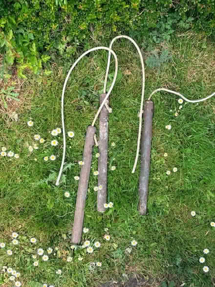 Photo of free Sliding sash Victorian single glazed windows (Papcastle CA13) #3