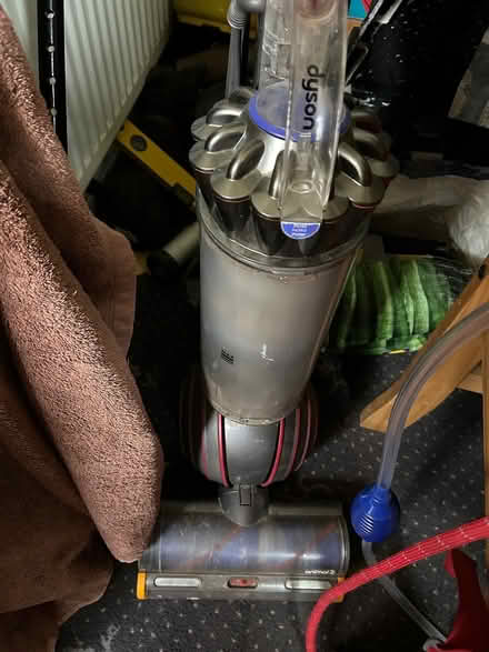 Photo of free Dyson animal (Greenhill S8) #1