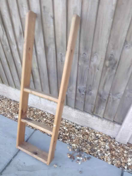 Photo of free Cabin bed ladder (Pensby CH61) #2