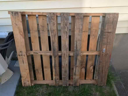 Photo of free Wood pallet (Payson Park, Belmont) #1