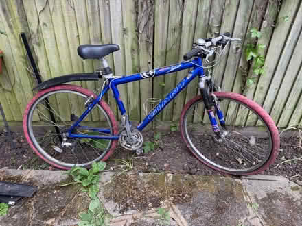 Photo of free Ladies Bike (Enfield EN2) #1