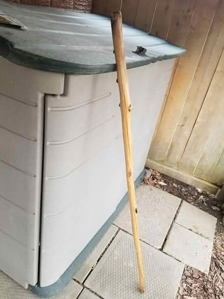 Photo of free Wooden walking stick (Hunt Club) #1