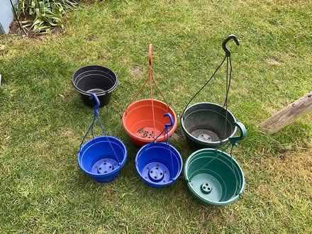 Photo of free hanging baskets and trays (Mottingham) #1