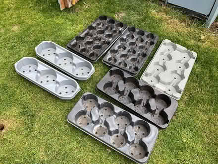 Photo of free hanging baskets and trays (Mottingham) #2