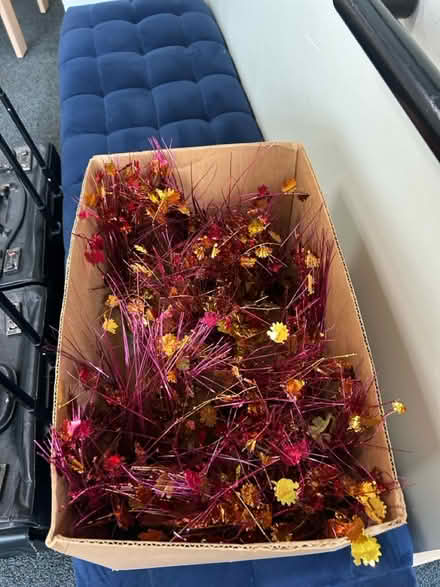 Photo of free Table decor (Beverly Grove in Los Angeles) #2
