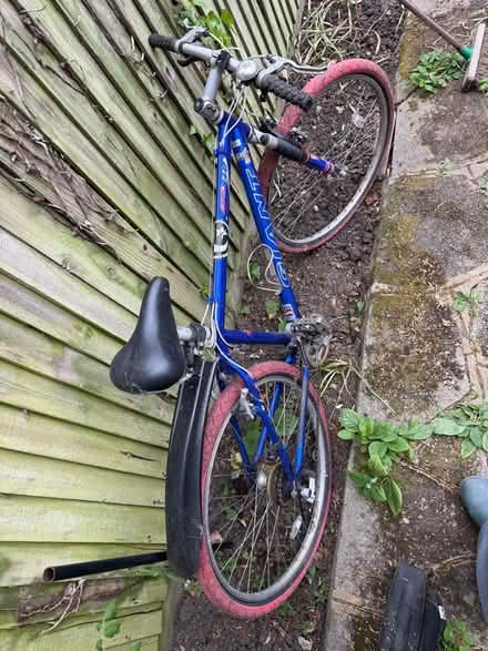 Photo of free Ladies Bike (Enfield EN2) #4