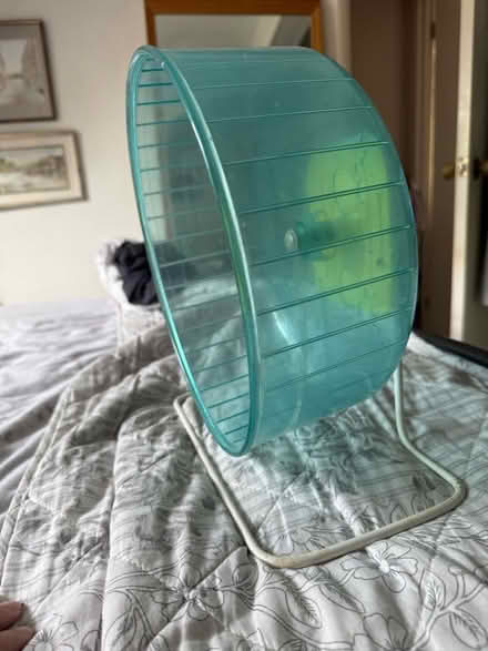 Photo of free Large freestanding rodent wheel (New Mill HP23) #2