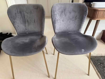 Photo of free Pair of velvet chairs (Wimbledon Park SW19) #1