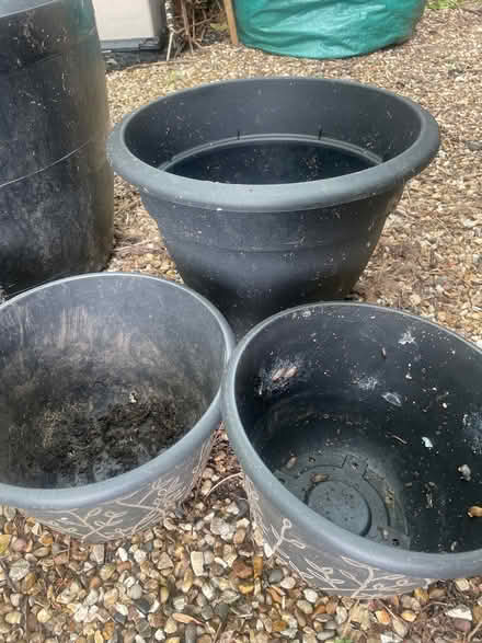 Photo of free Plant pots (Garston WD25) #3