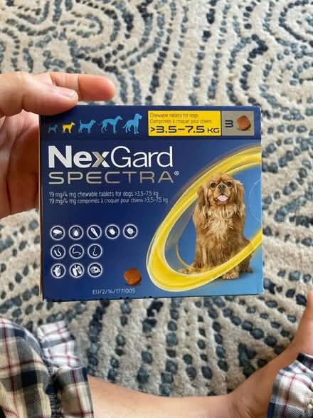 Photo of free nexgard spectra for small dogs (san jose west) #2