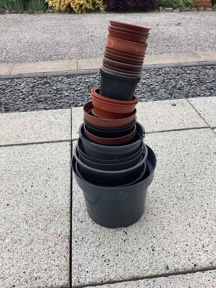 Photo of free Plastic plant pots (Oxenholme LA9) #1