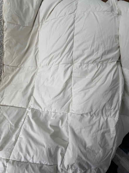 Photo of free Single down duvet (Barnes SW13) #1
