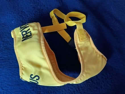 Photo of free Items for dog (Bromham MK43) #1