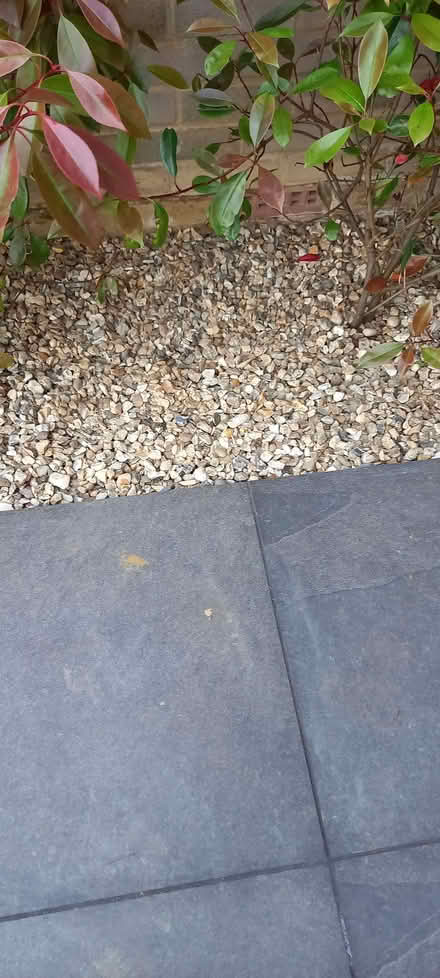 Photo of free Bags of 20mm shingle (Ashton Green BN8) #1