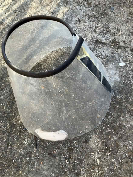 Photo of free Dog hood and cat hood (Birch, Essex) #1